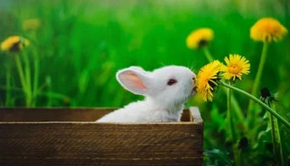 漳浦伴游,定制QQ:3494206190微信:act1322